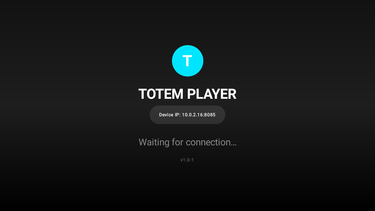 Totem Player Launch Screen